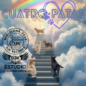 Cuatro patas