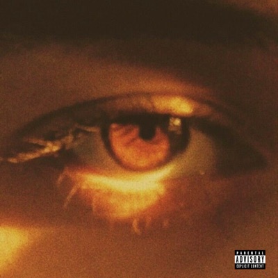 Sinais (feat. Prod. YanZ) - Single