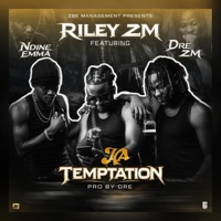 Ma temptation (feat. Ndine Emma & Dre Zm) - Single - Riley Zm