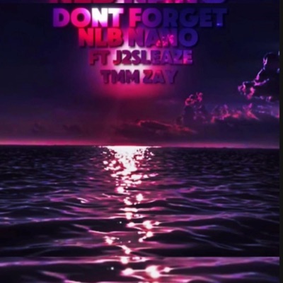Dont forget (feat. Tmmzay & NLB Nano) - Single