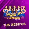 Agrupación Pluma Dorada - Tus Besitos