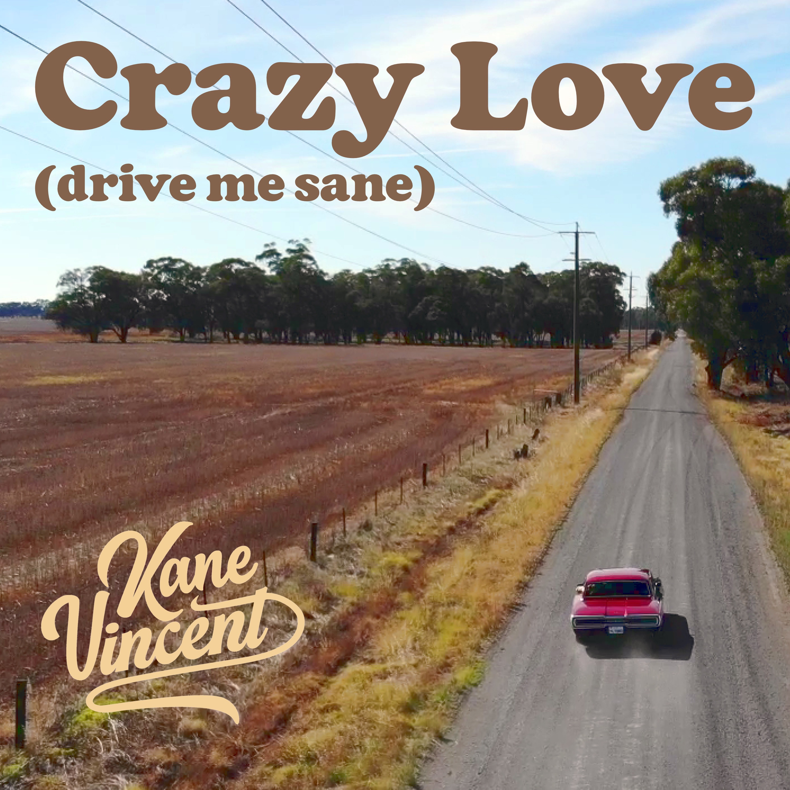 Crazy Love (Drive Me Sane) - Single