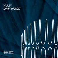 Driftwood - Single - Mully