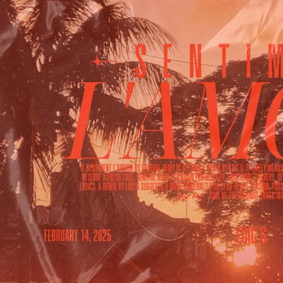 Sentiment L'amour 2.0 (feat. General Remy) - Single