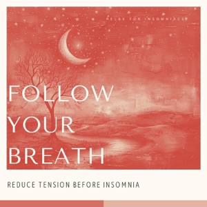 Follow Your Breath - Reduce Tension Before Insomnia