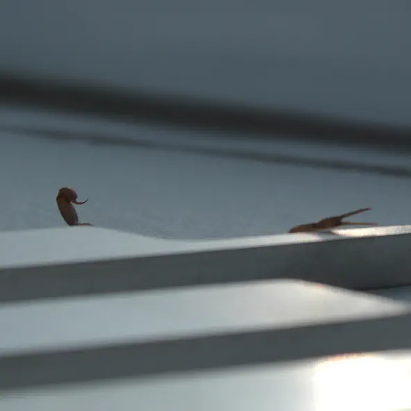 Skrillex & Young Miko – Duro – Single (2026)