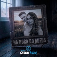 Banda Gralha Azul - Na Hora do Adeus