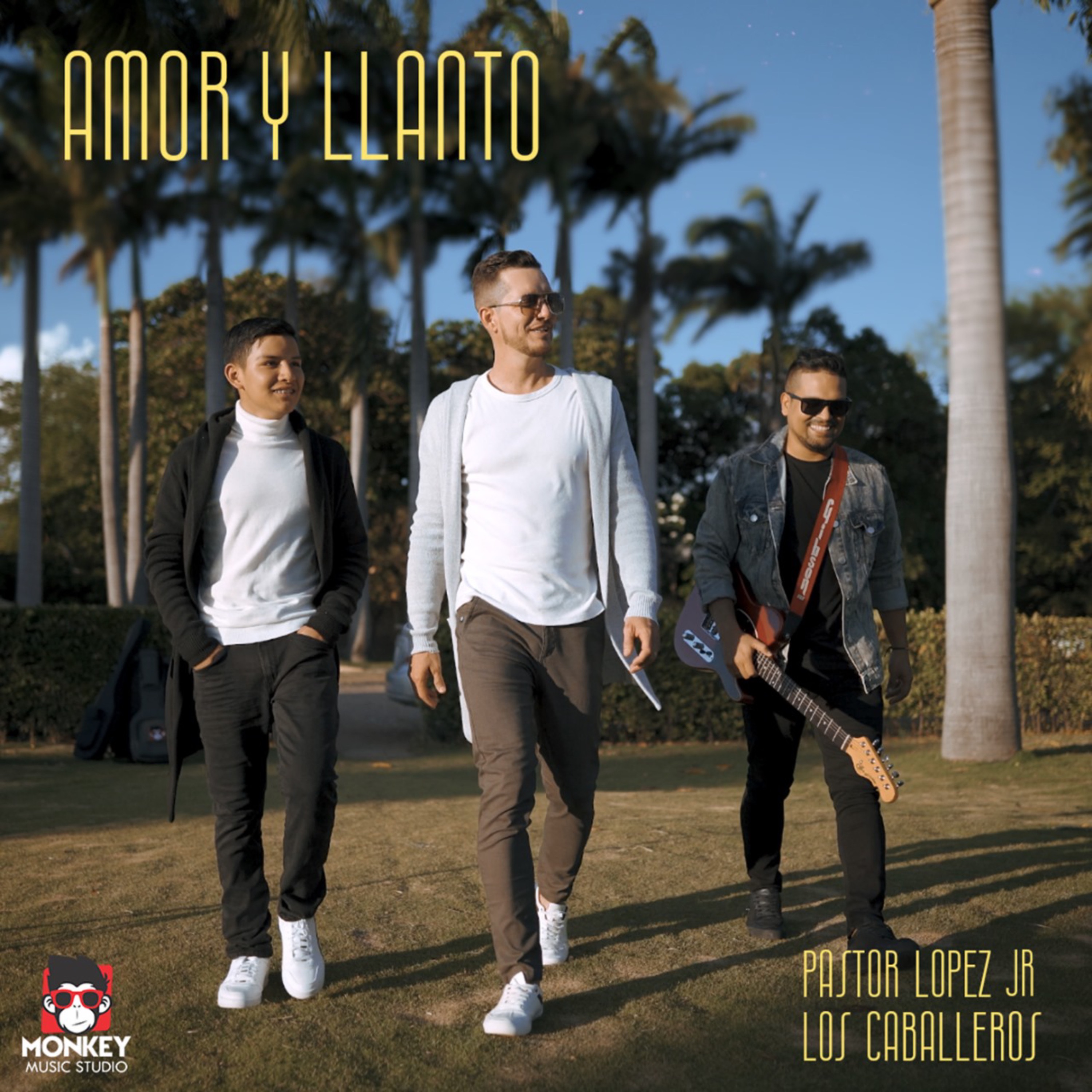 Amor y Llanto - Single