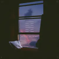 PEACE OF MIND — LEIF VOLLEBEKK
