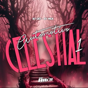 Automotivo Celestial 1
