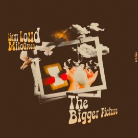 The Bigger Picture (feat. MiloGreen) Liam Loud