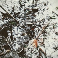 Lähde - Single - Alkemistit