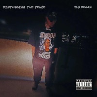 Disturbing The Peace - 413 Dollaz