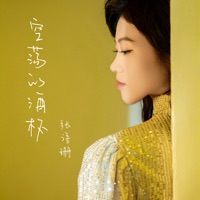 空荡的酒杯 - Single - 张语珊