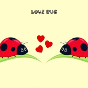Love Bug