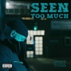 Seen Too Much - Single