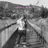 Broken Wingz - Single - Acogcade