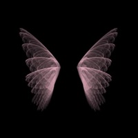 wings - Single - vent