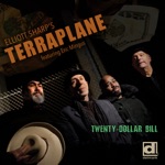 Elliott Sharp's Terraplane - Twenty Dollar Bill (feat. Eric Mingus)