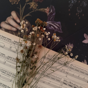 july - ILOVEFLOWERS!