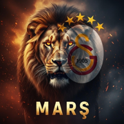 Galatasaray Marşı - N-ECHO