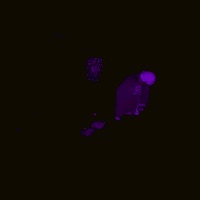 ghost (feat. Black Gohan) - Single - Neoxlime