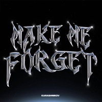 Make Me Forget - Single - Karashnikov
