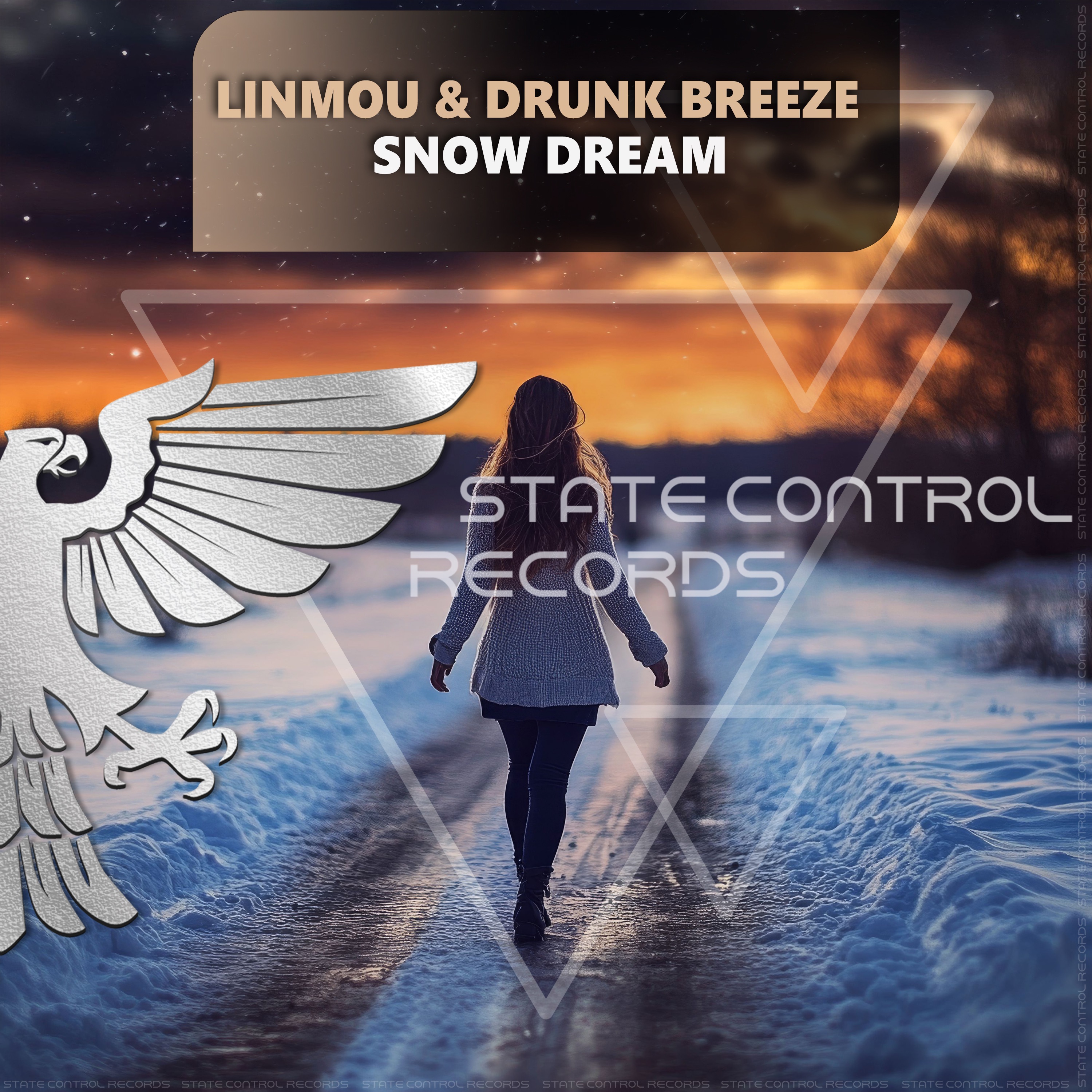 Drunk Breeze, LinMou - Snow Dream (Extended Mix)