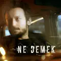 Ne demek