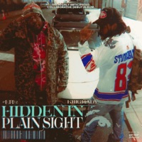 HIDDEN IN PLAIN SIGHT © - EP - pÈRez & Grizady