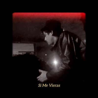 Si Me Vieras - Single