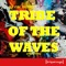 Tribe of the Waves (Jerzz Remix) - David Duriez lyrics