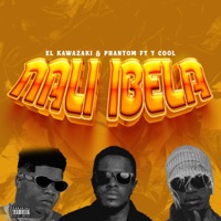 Nali Ibela (feat. Y-Cool & Phantom) - Single - El Kawazaki