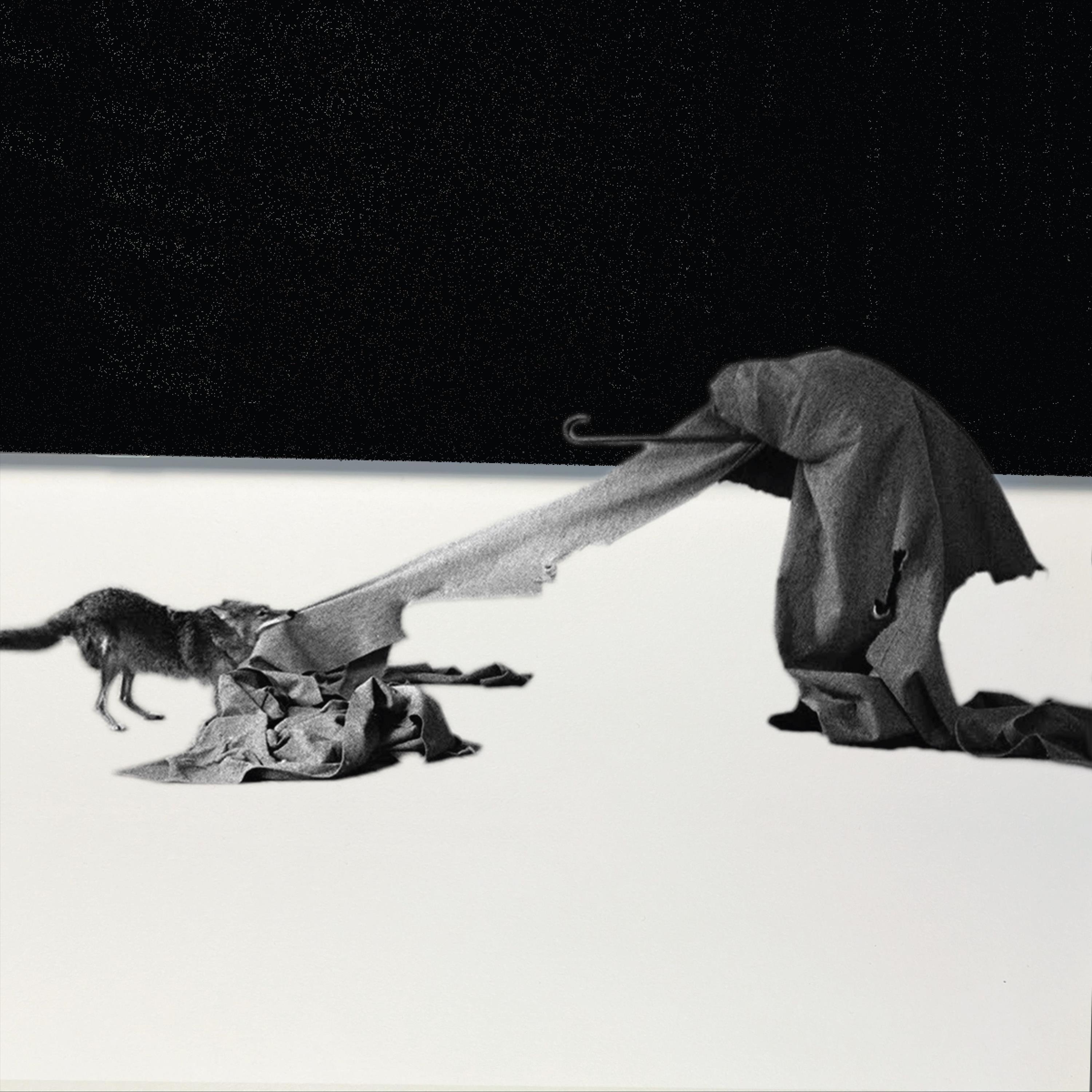 Scarlet Rot - Single