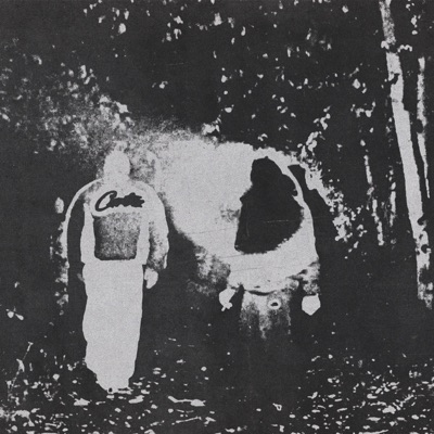 The Void (feat. JANO) - Single