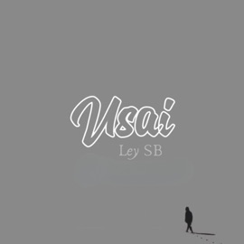 Usai (feat. Pavel & Kaleb) Ley SB