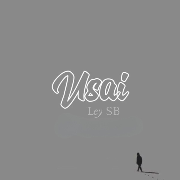 Usai (feat. Pavel & Kaleb)