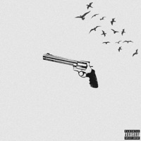 Ma Blicky? (feat. NGeeYL) - Single - Ja$h