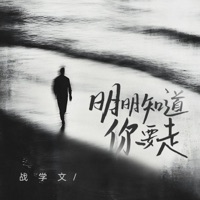 明明知道你要走 - Single - 战学文