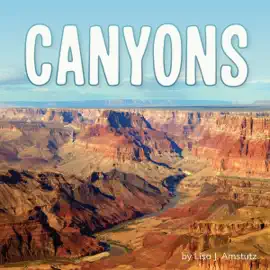 Canyons: Earth's Landforms (Unabridged)
