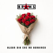 Algun dia ens ho agraireu