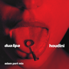 Dua Lipa - Houdini (Adam Port Mix) [Extended] ilustración