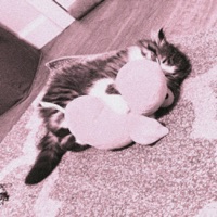 glaive co-sign - Single - devvn