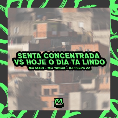 Senta Concetrada Vs Hoje o Dia Ta Lindo - Single