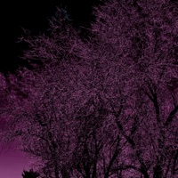 Season 4 - Single - Hydro