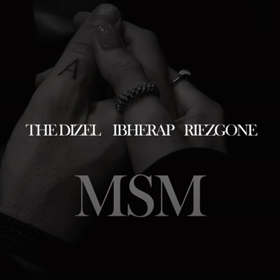 Msm (feat. THE DIZEL & RIEZGONE) - Single
