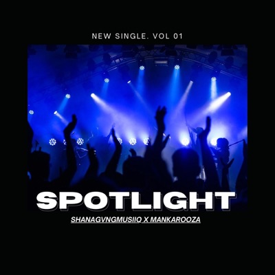 Spot Light (feat. Mankarooza) - Single