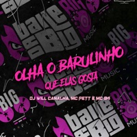 Olha o Barulinho Que Elas Gosta - Single - Dj Will Canalha, MC PETT & Mc B4