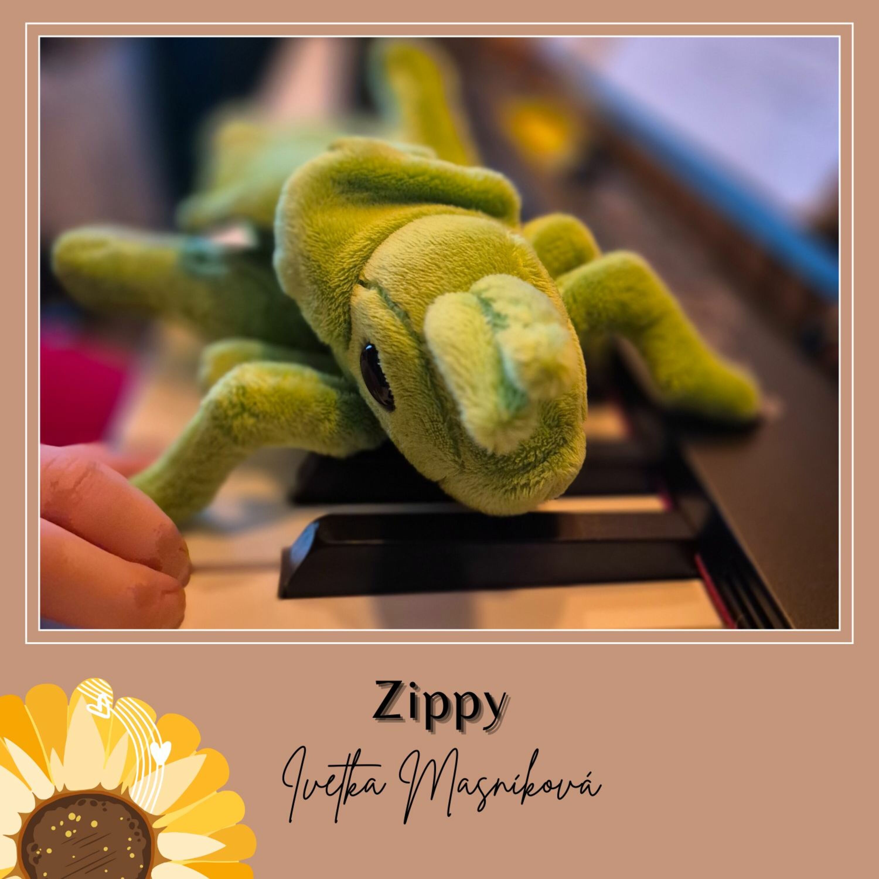 Zippy - Single