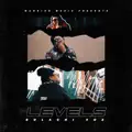 Levels